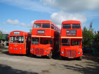 Three buses